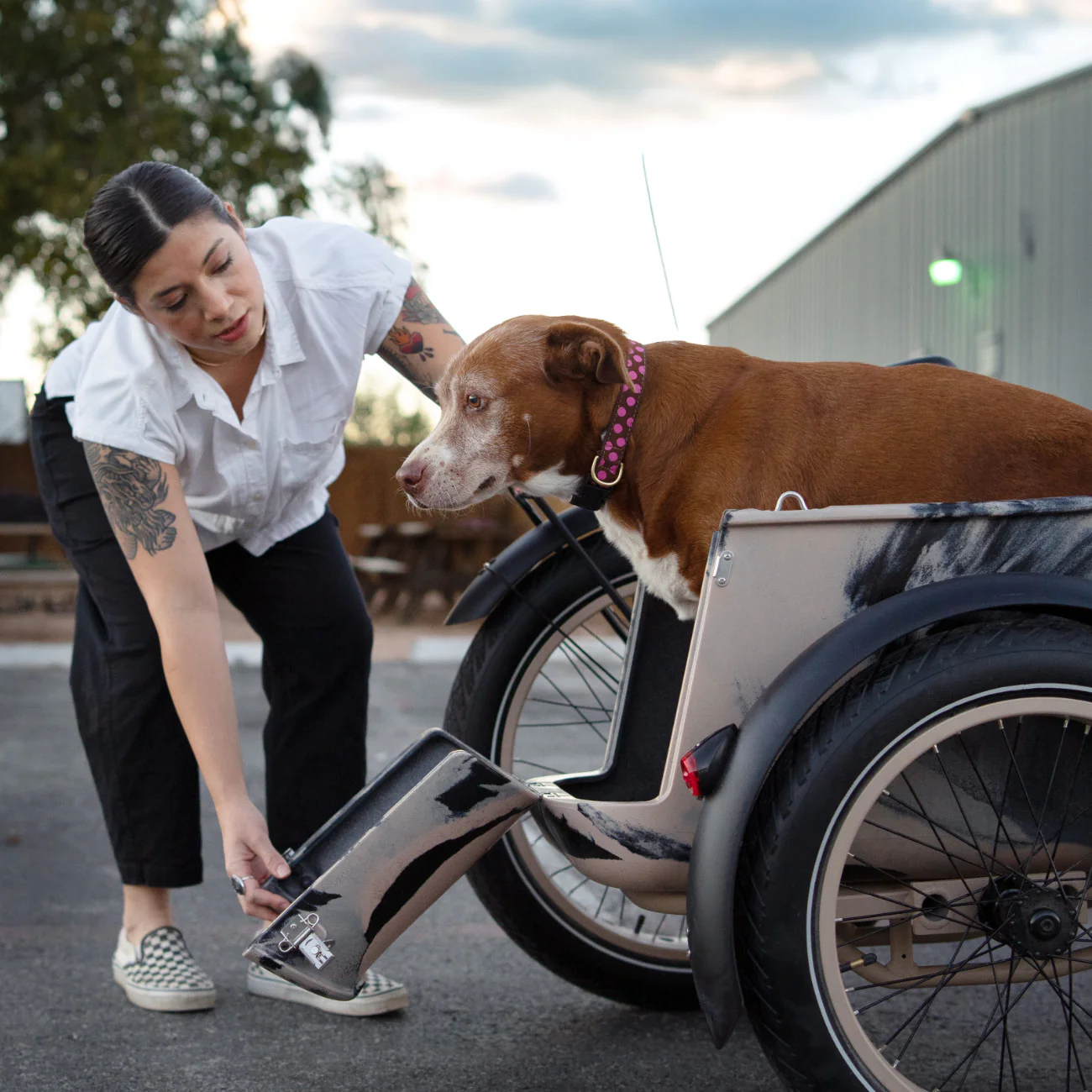 Электровелосипед MOD Easy SideCar с люлькой для собак