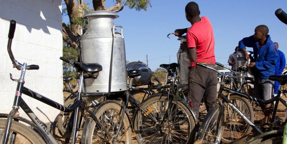 Велосипед Utility S2 от Buffalo Bikes